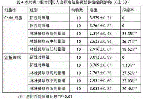 Application of Rana extract in preparation of medicine for treating and preventing cervical cancer