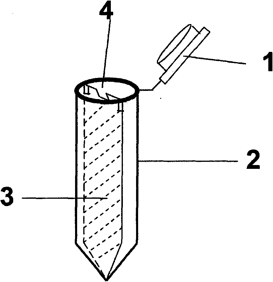 Container and method for detecting nucleic acid reaction