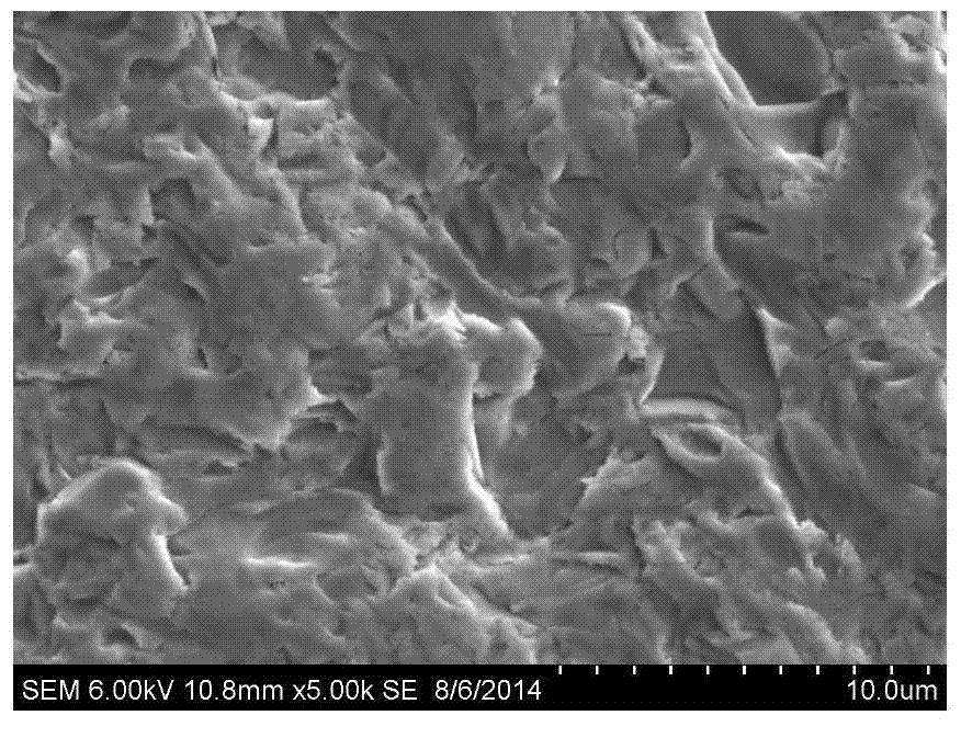 Texturing preprocessing solution and method of diamond wire cutting polycrystalline silicon wafer, texturing preprocessing silicon wafer and application of texturing preprocessing silicon wafer