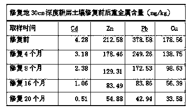 Biological remediation method for soil polluted by cadmium, zinc, lead and copper ions