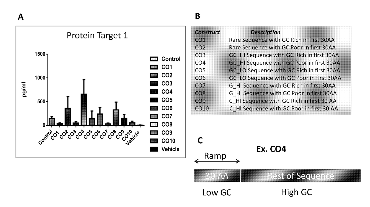 Multiparametric nucleic acid optimization