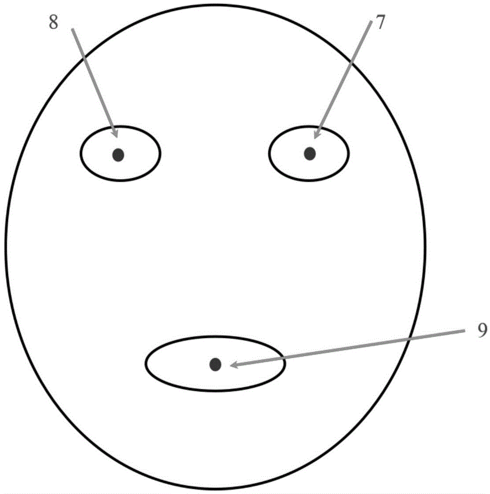 Intelligent display system automatically tracking head posture