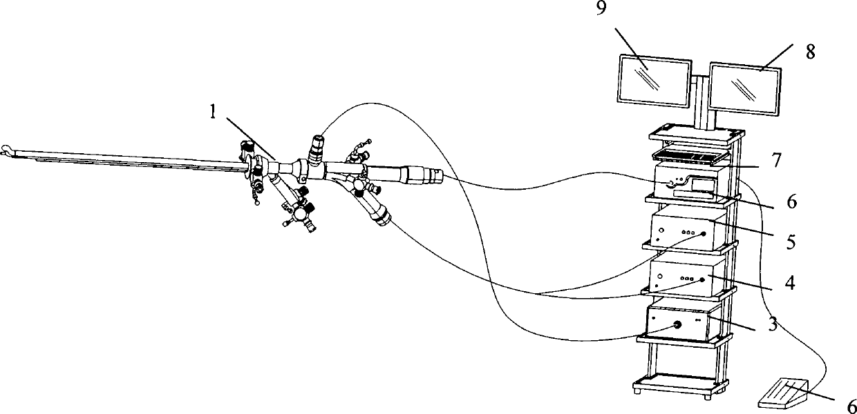 Diagnosis and treat integral confocal cystoscope system