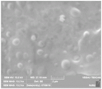 Preparation method of anti-tumor nanoparticle drug