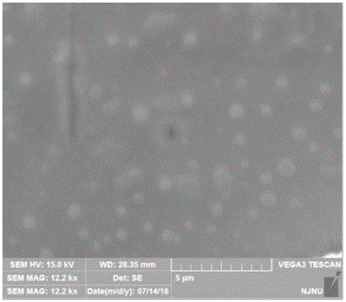 Preparation method of anti-tumor nanoparticle drug