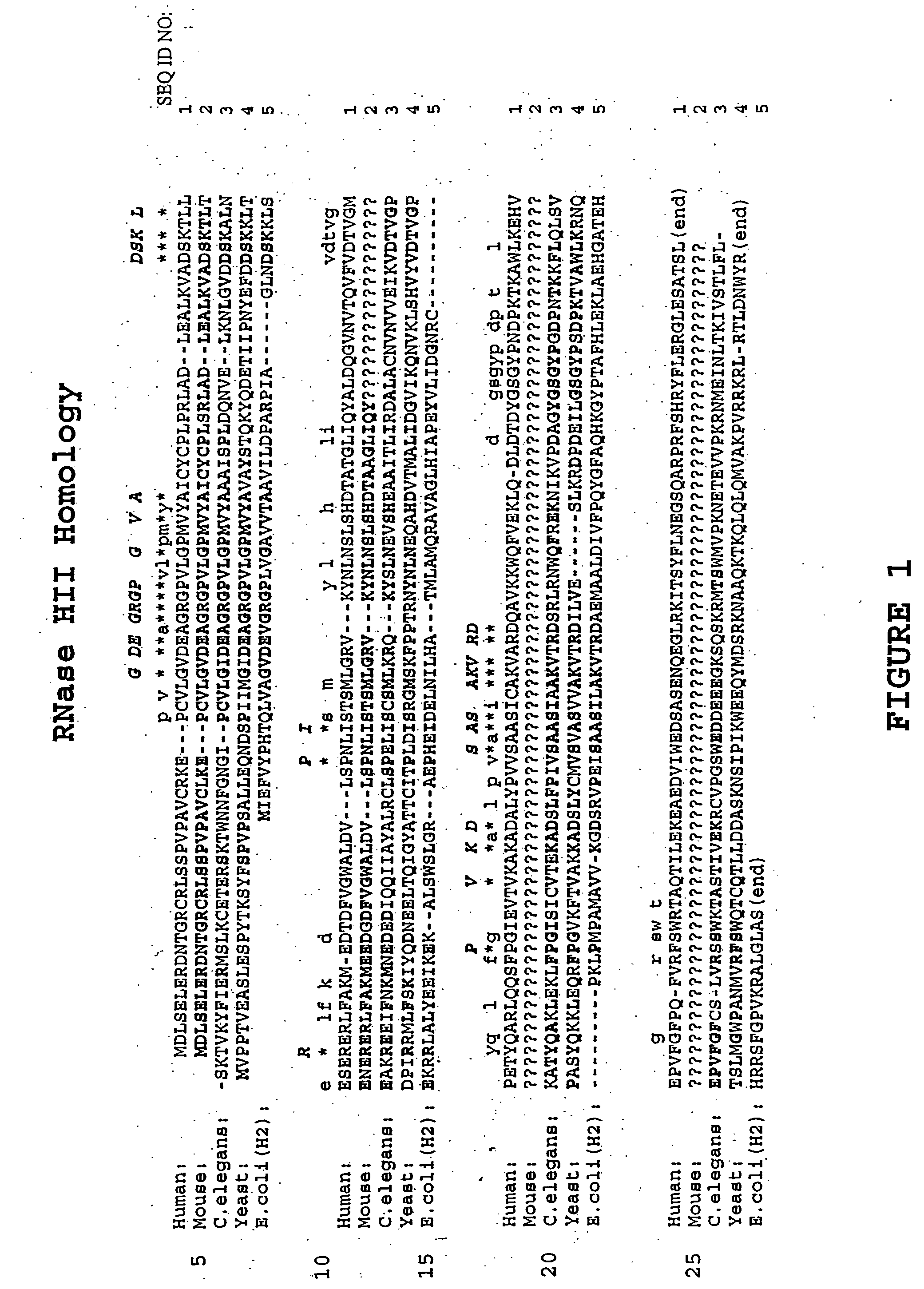 Methods of using mammalian RNase H and compositions thereof