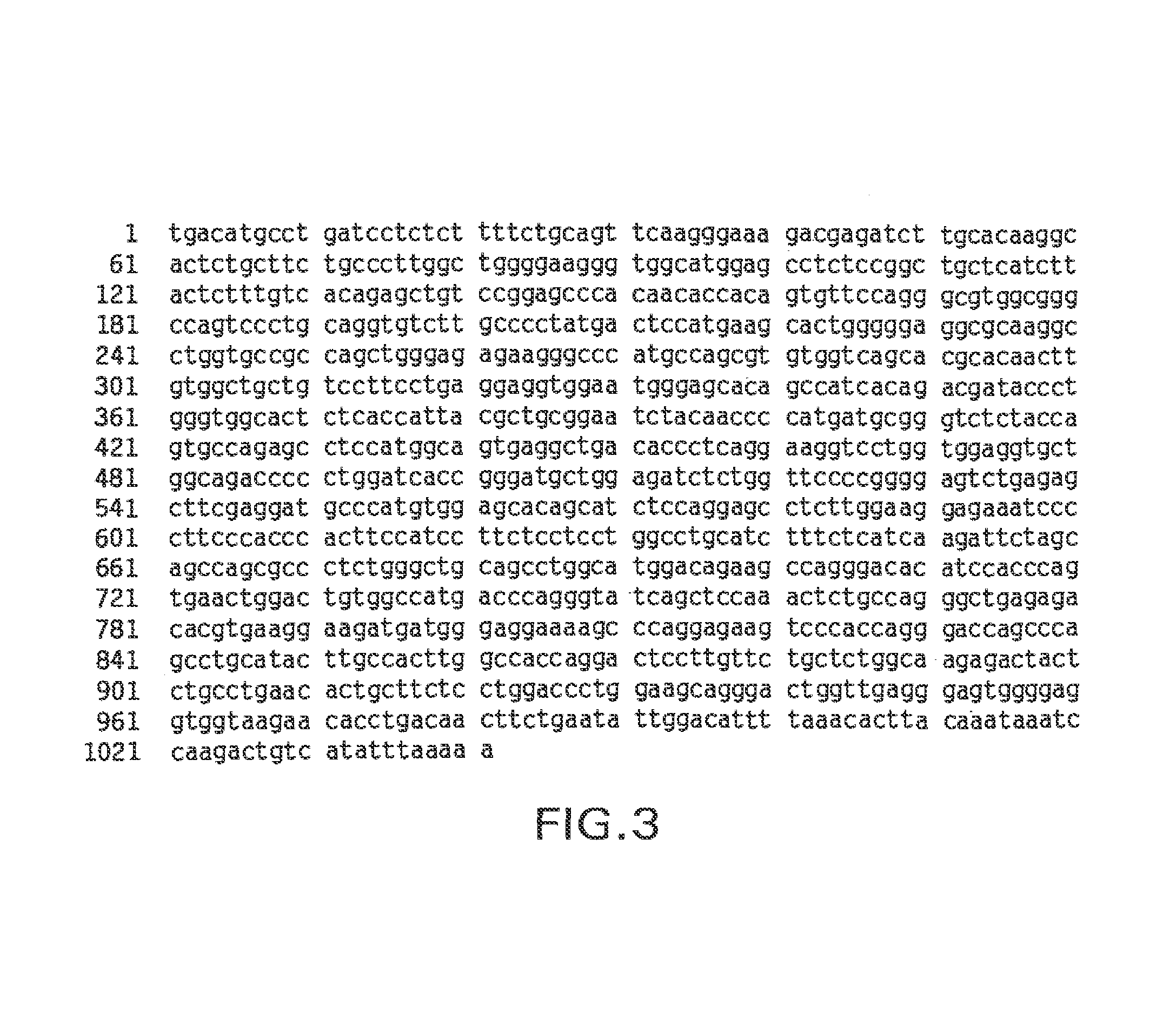 Receptor TREM (triggering receptor expressed on myeloid cells) and uses thereof