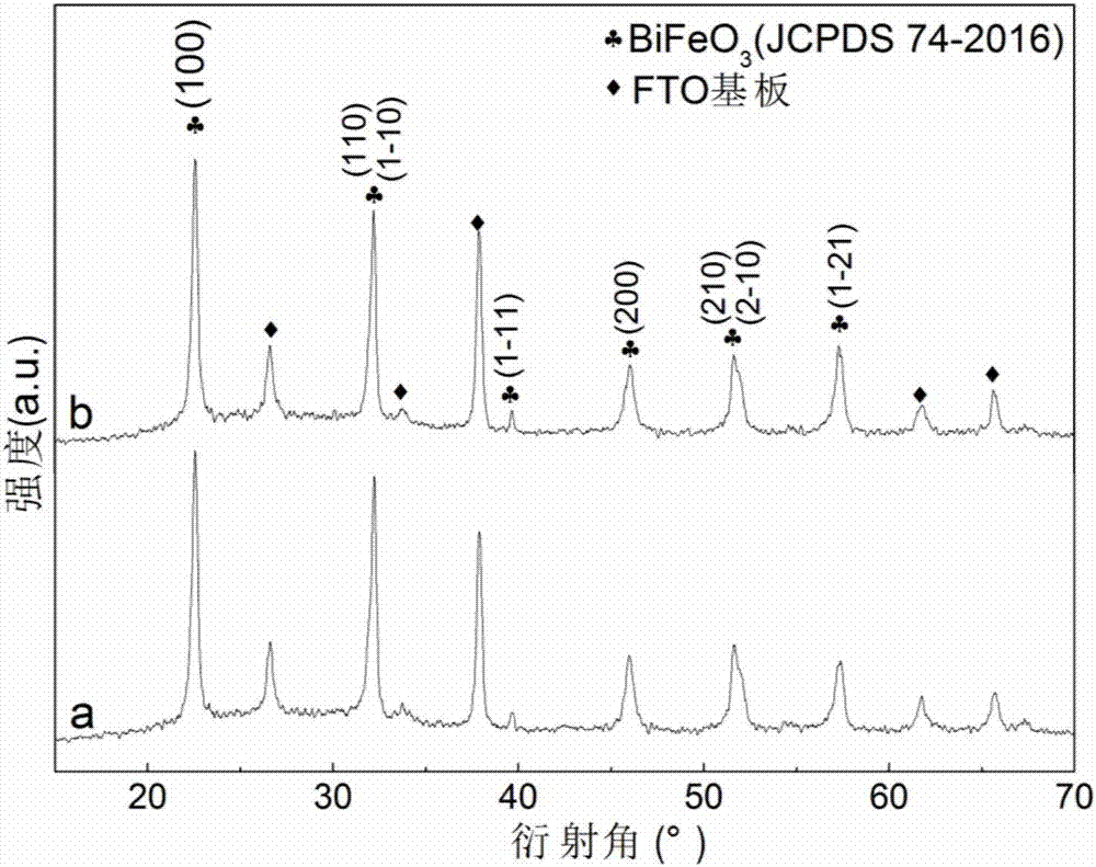 HoSrMnNi co-doped trigonal bismuth ferrite superlattice film and preparation method thereof