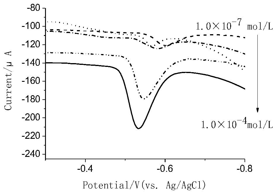 Preparation method and application of PVC-carbon paste modified electrode for lead ion detection