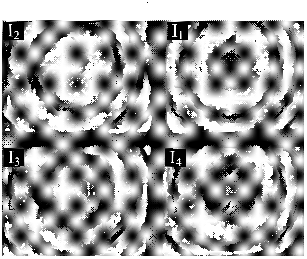 Synchronous phase-shifting Fizeau interference device capable of measuring in real time