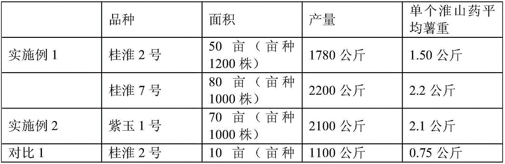 Method for planting common yam rhizome in a mechanization grooving orientation bag tuberization manner