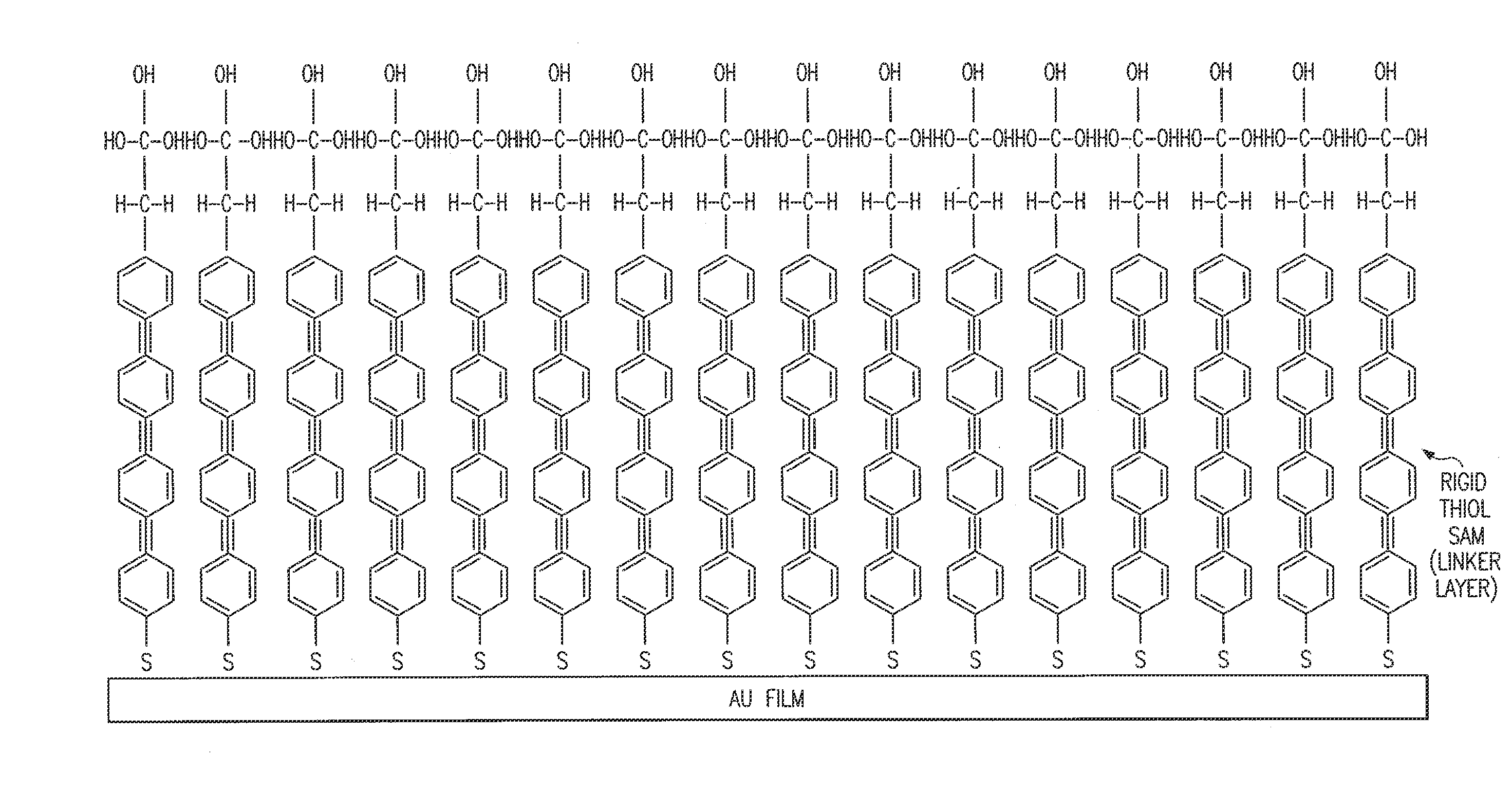 Biosensor and method