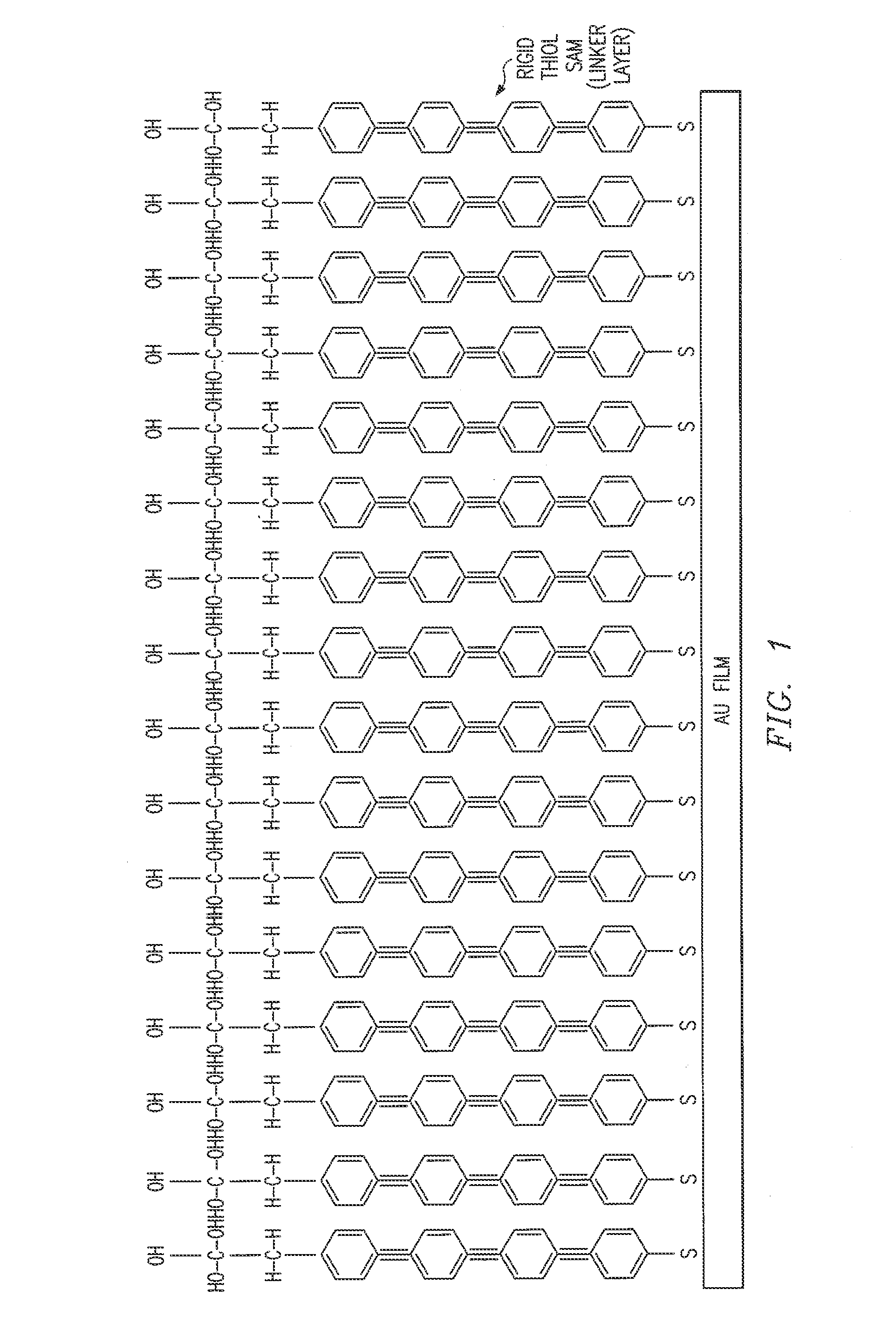 Biosensor and method