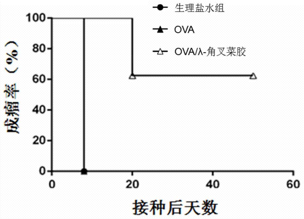 Application of Lambda-carrageenan to preparation of immunologic adjuvant and antigen-adjuvant compound