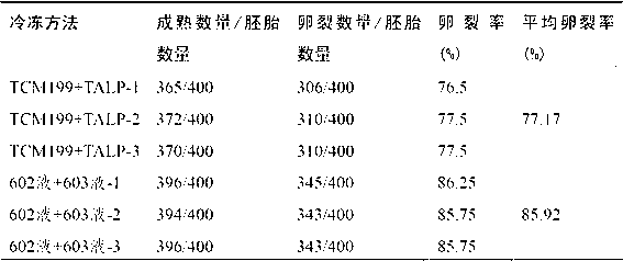 Cultivation method of cross-bred wagy