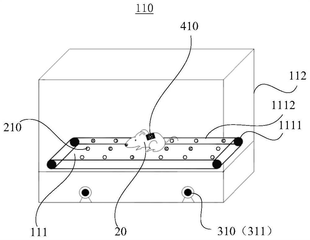 Animal posture experiment system