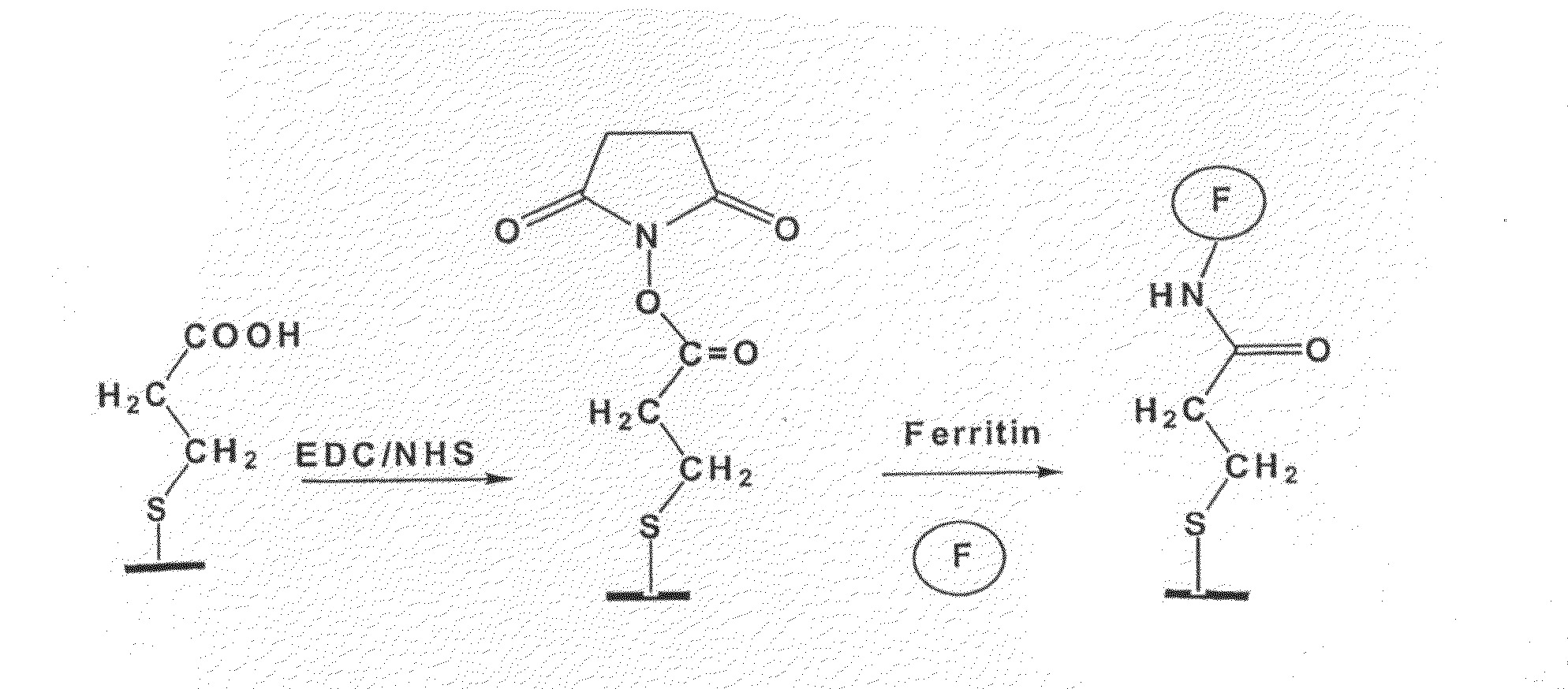 Method and apparatus for positioning nano-particles