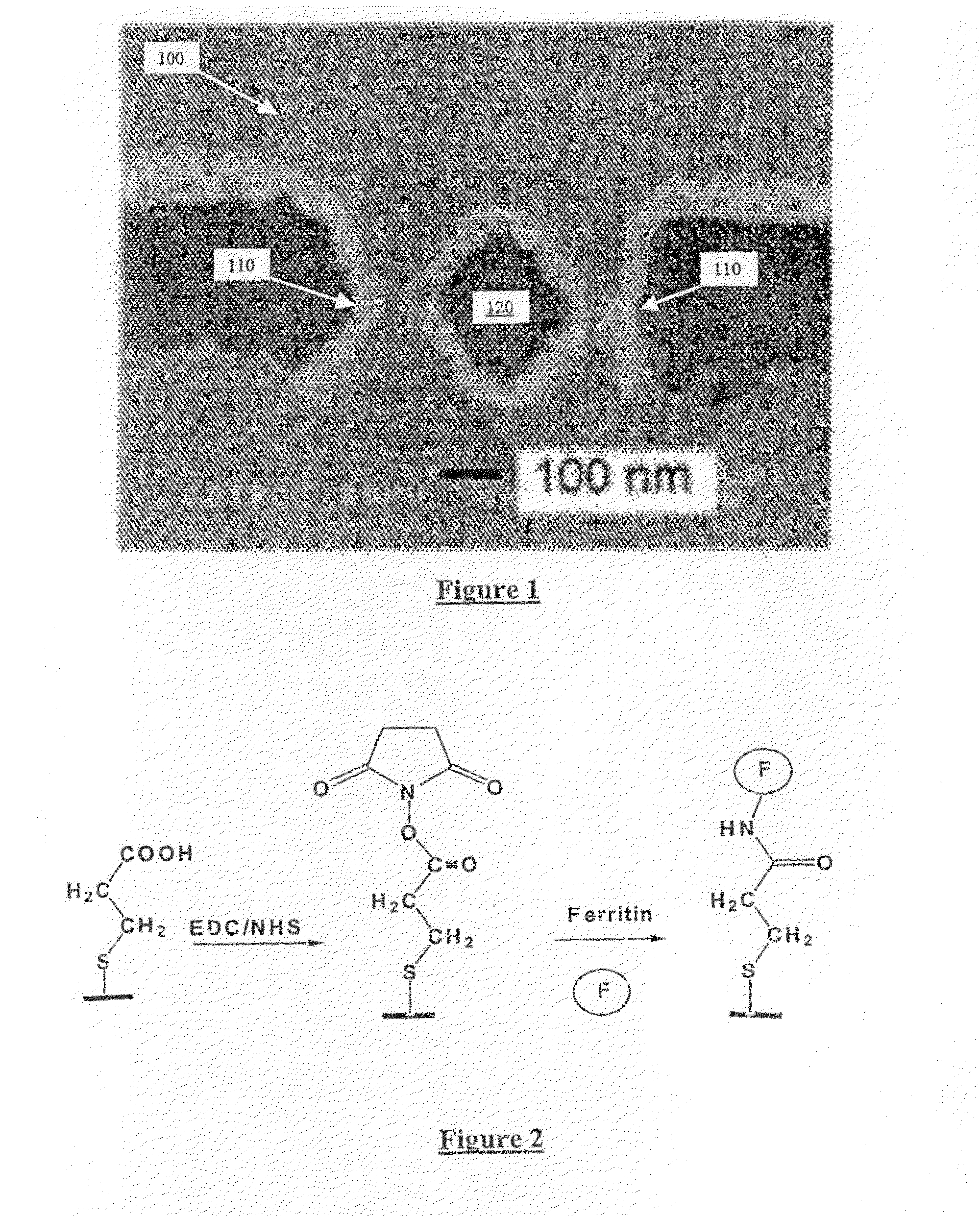 Method and apparatus for positioning nano-particles