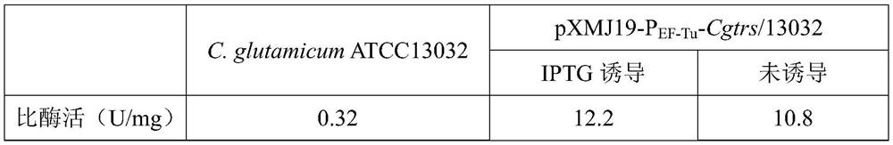 Method for expressing trehalose synthase by Corynebacterium glutamicum through an EF-Tu promoter and application of method