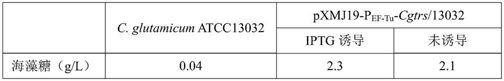 Method for expressing trehalose synthase by Corynebacterium glutamicum through an EF-Tu promoter and application of method