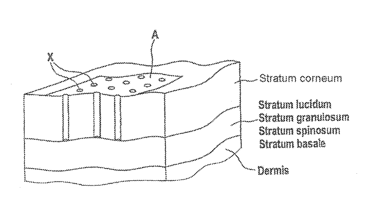 Transdermal therapeutic system for the administration of peptides