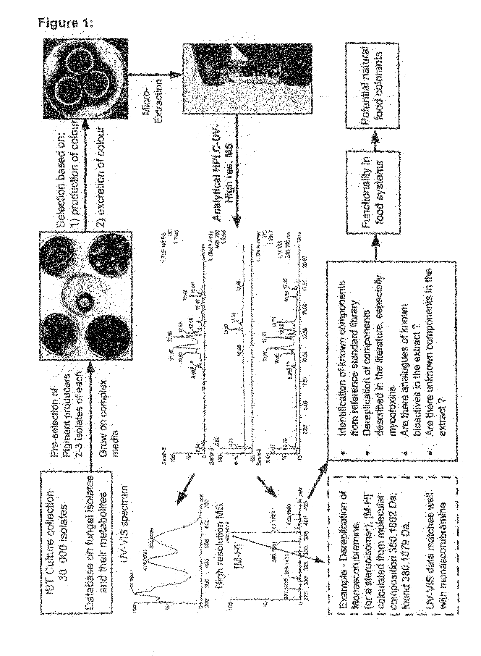 Production of monascus-like azaphilone pigment