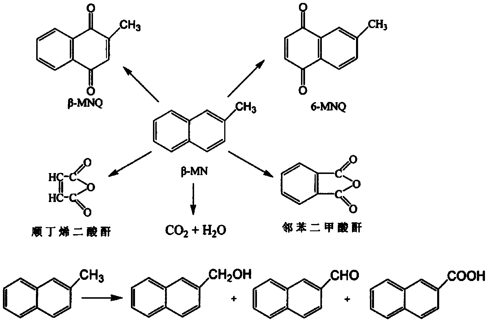 Method for promoting beta-menadione production through ultrasonic waves