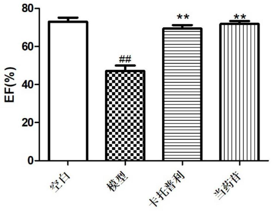 New uses of drug glycosides