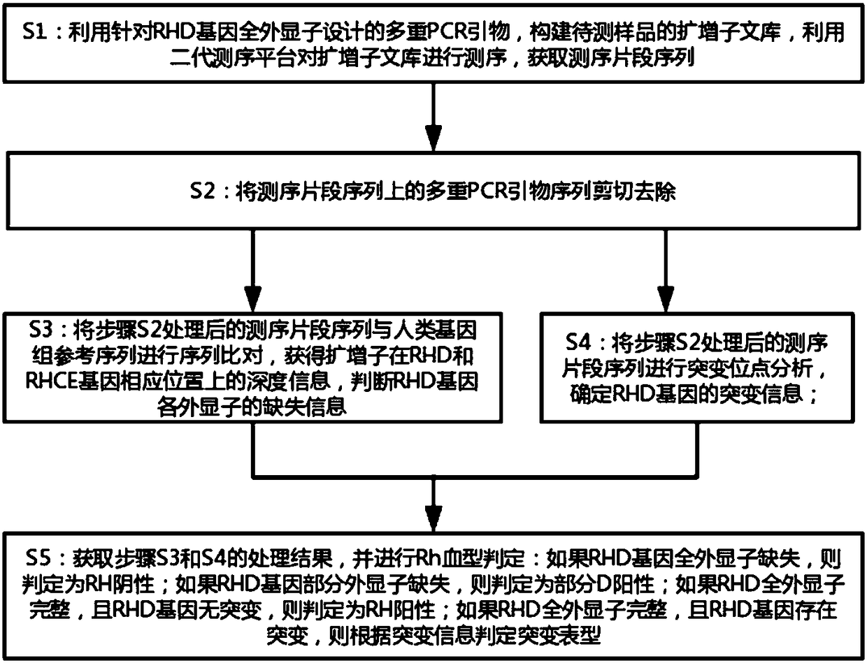 Rh blood type typing method and device based on multiplex PCR (Polymerase Chain Reaction) and second-generation sequencing