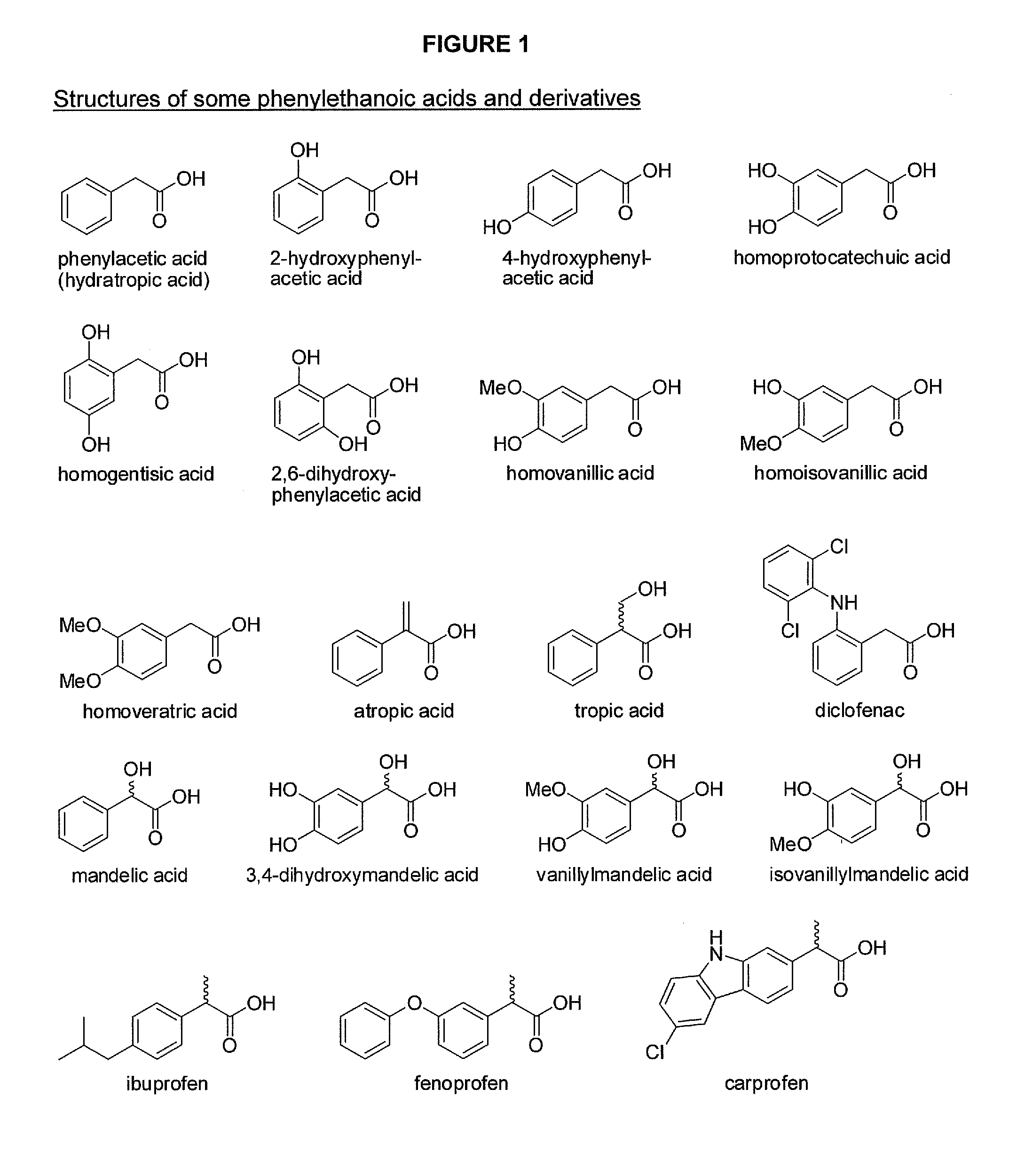 Phenylethanoic Acid, Phenylpropanoic Acid and Phenylpropenoic Acid Conjugates and Prodrugs of Hydrocodone, Methods of Making and Use Thereof