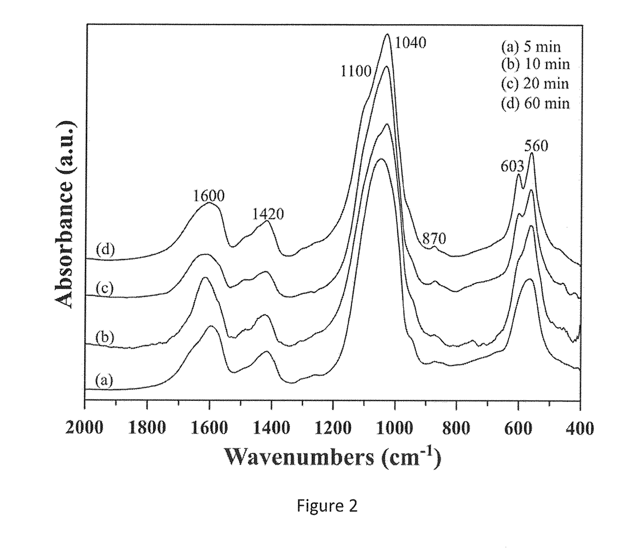 Products for the delivery of therapeutic/diagnostic compounds to the heart