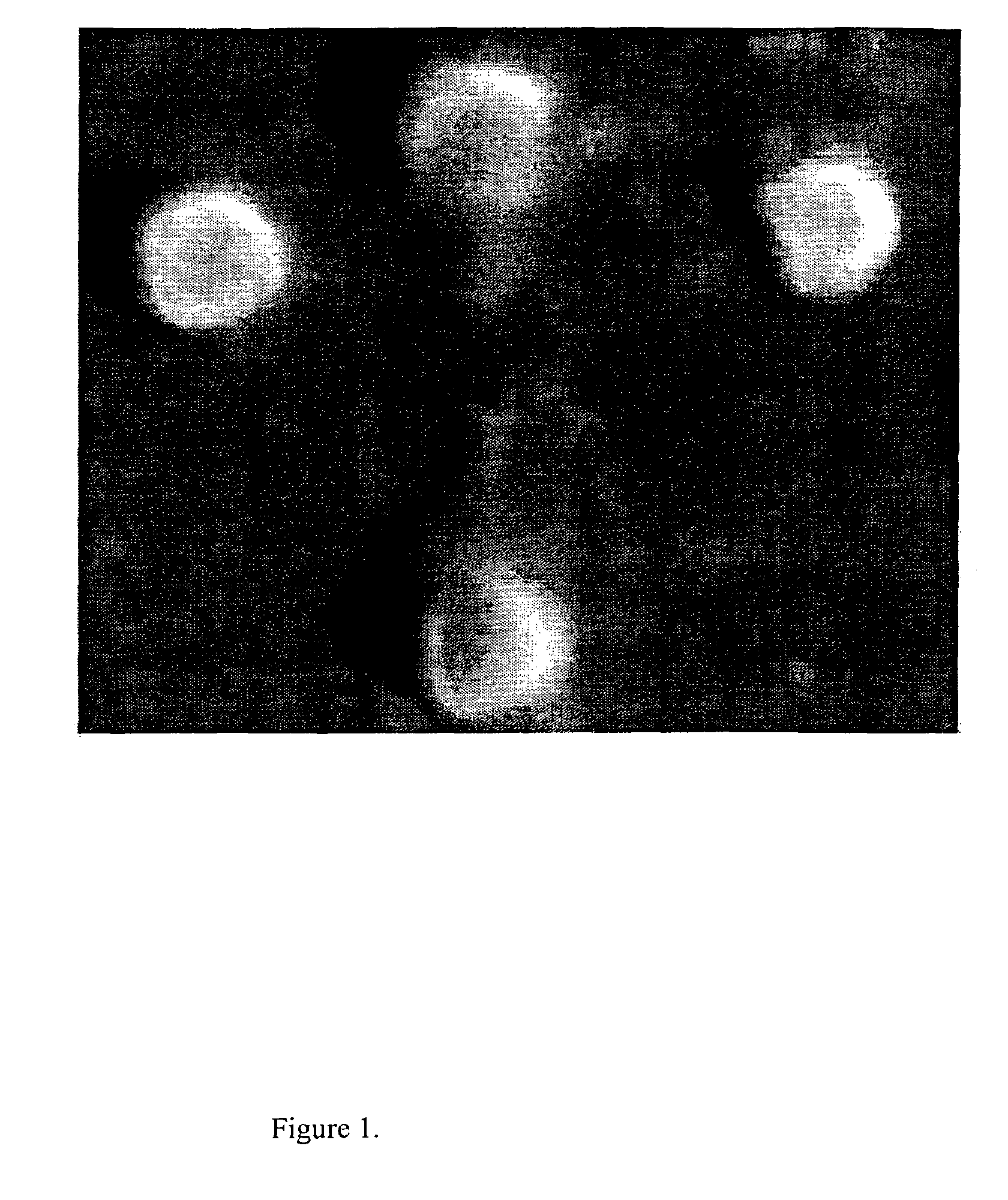 Controlled release nanoparticle having bound oligonucleotide for targeted delivery