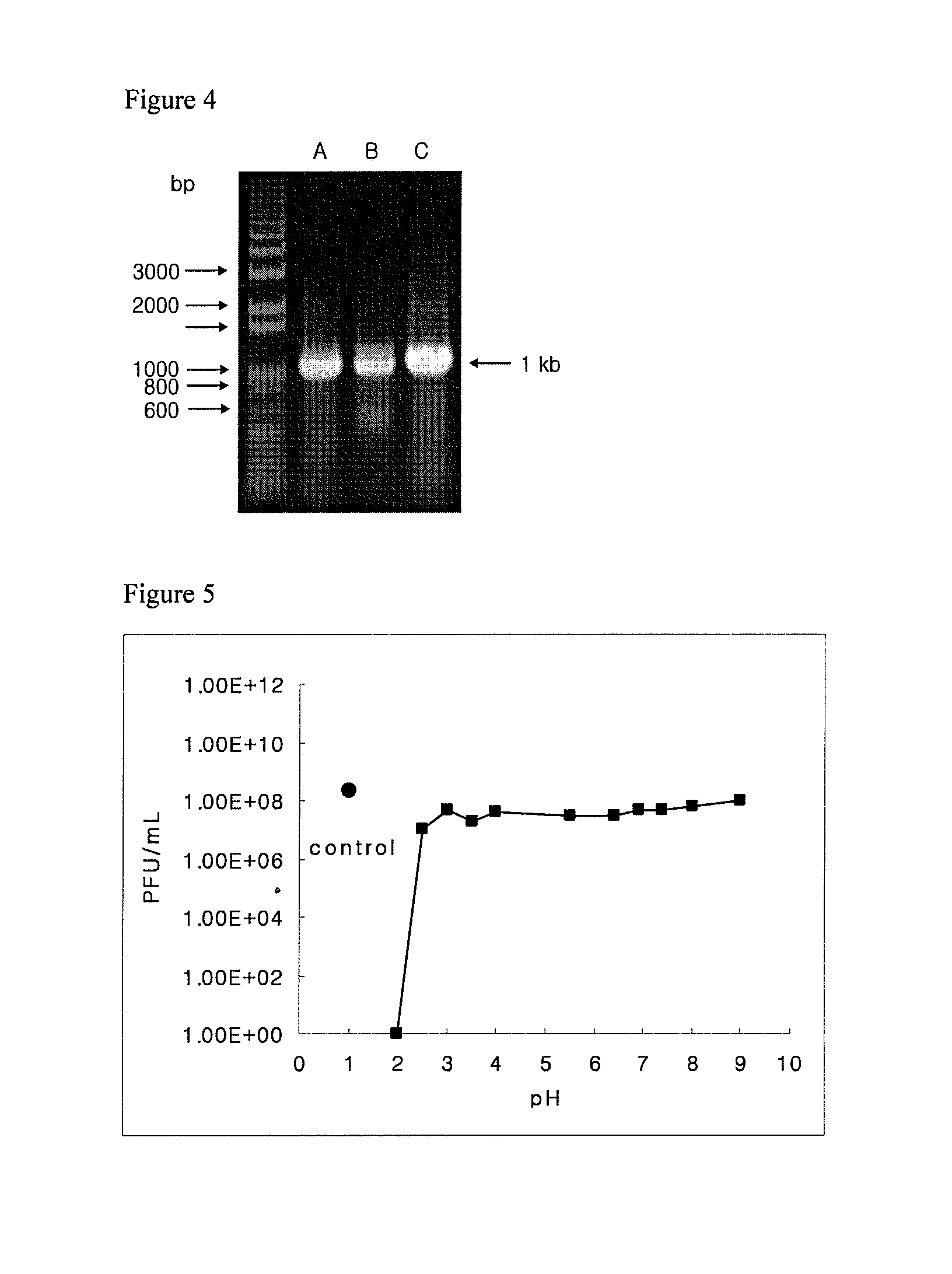 Bacteriophage and antibacterial composition comprising the same