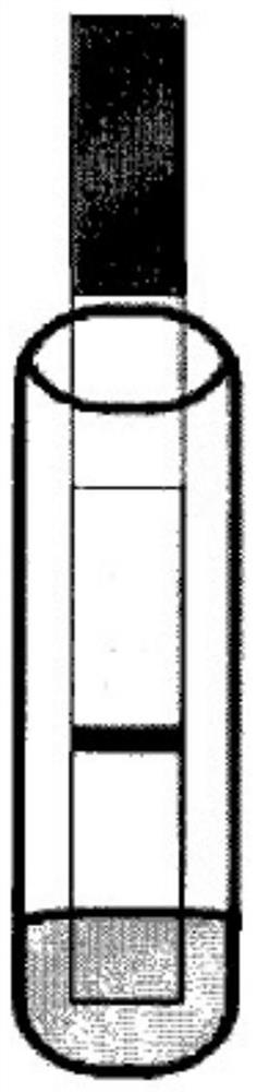 A test strip for detection of ev71 virus iga antibody