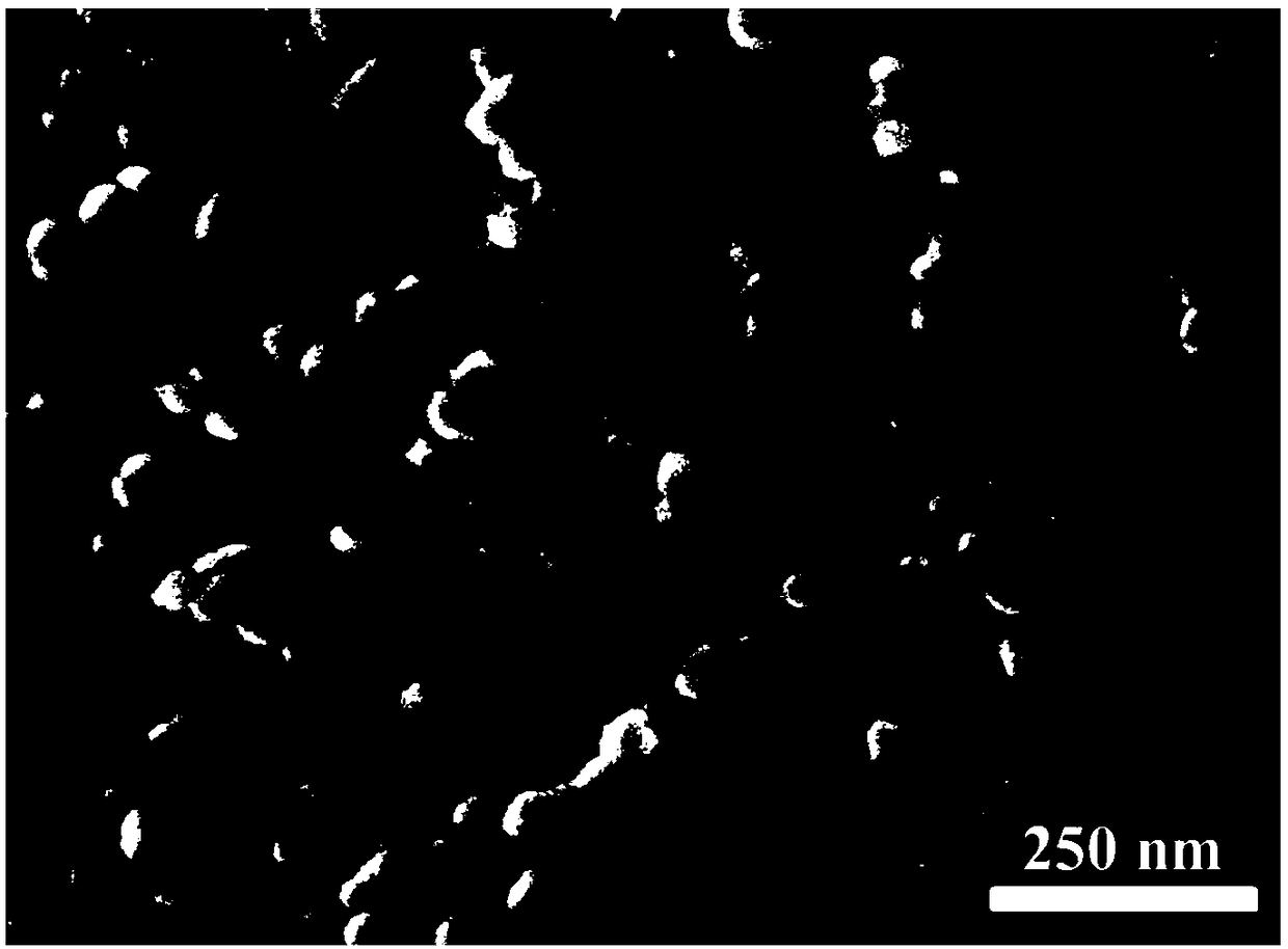 Preparation method for mesoporous silica nano hemisphere material