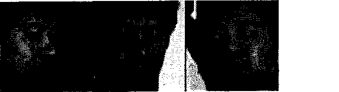 Human face similarity degree matching method and device