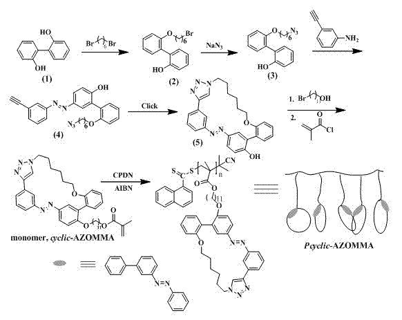 Polymer containing azobenzene circlet on side chain and preparation method thereof