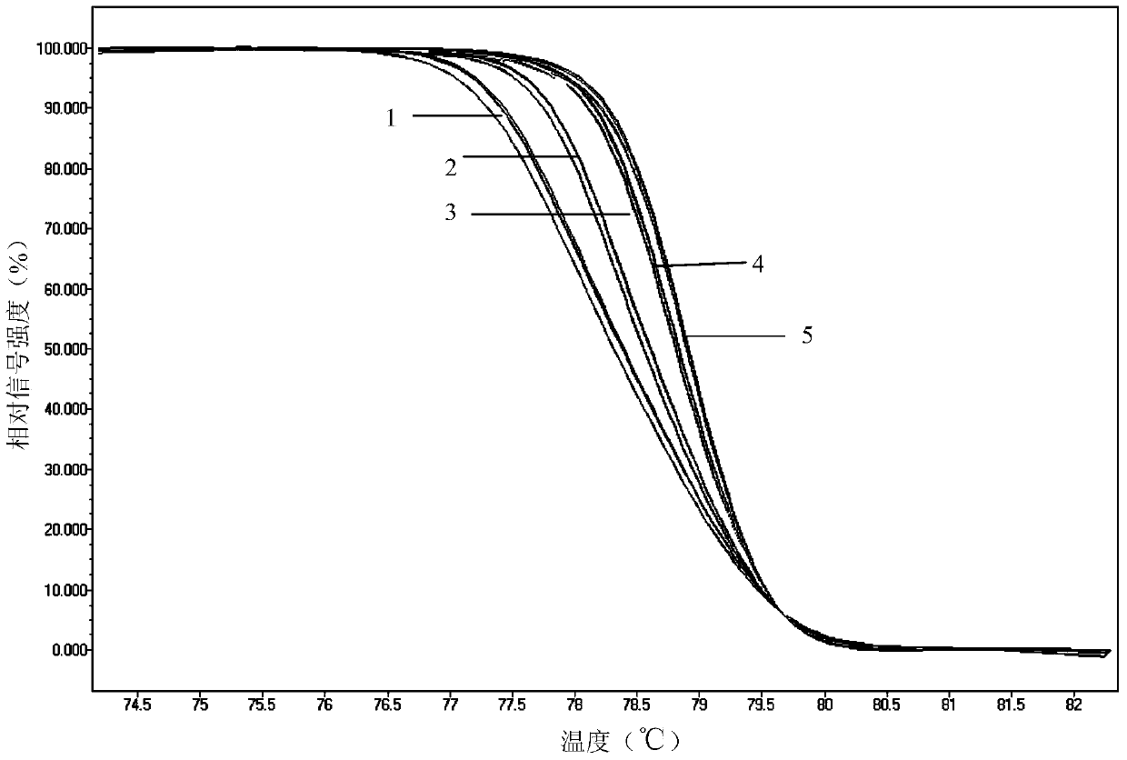 Method for detecting drug-resistant mutation sites of campylobacter jejuni carbostyril antibiotics