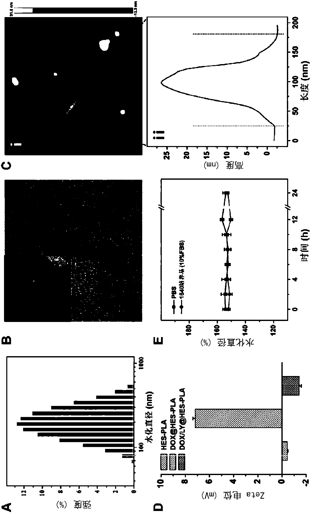 Nanometer drug carrying system and preparation method thereof as well as pharmaceutical composition and application of co-encapsulated nanometer drug carrying system to cancer treatment