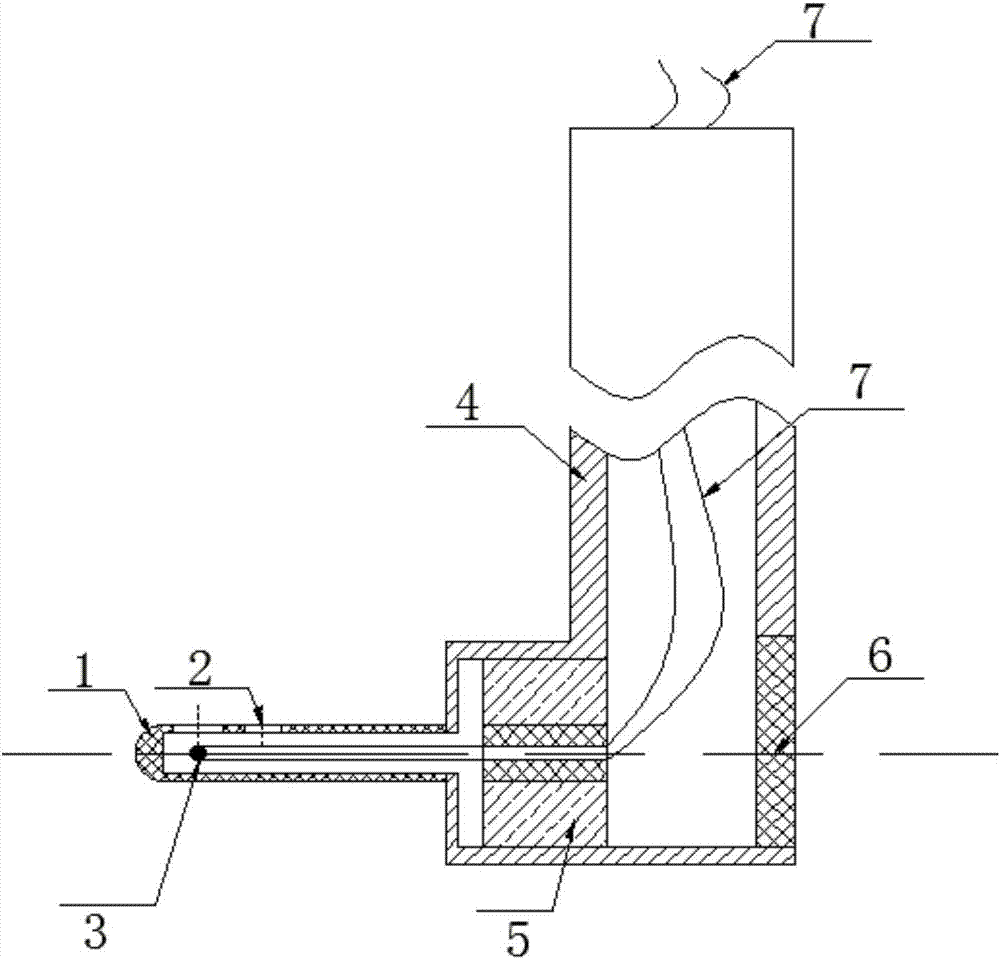 Total temperature probe with closely neighboring double-hole