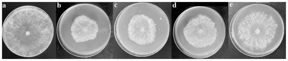 Pesticide nano drug-loaded particle framework material as well as preparation method and application thereof