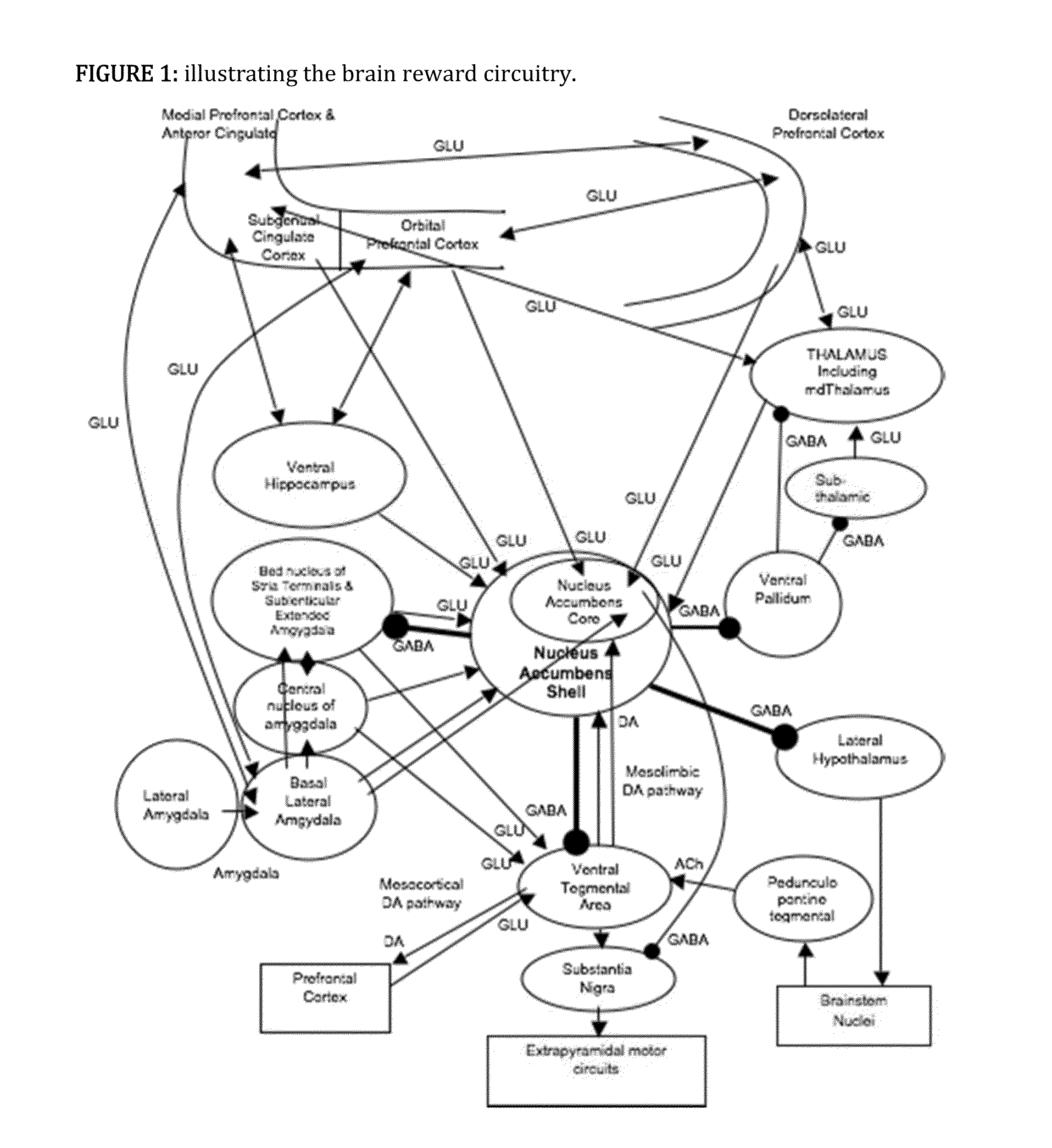 Methods of treating behaviorial and/or mental disorders