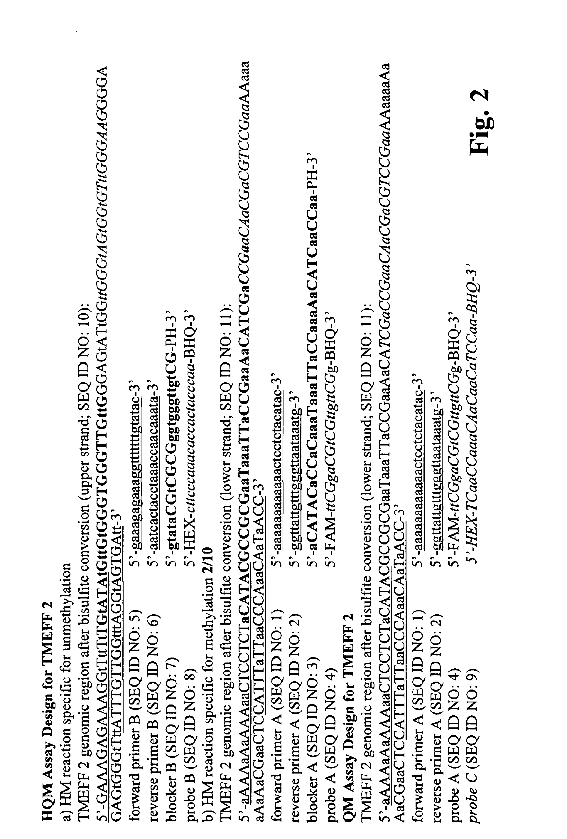 Method for methylation analysis of nucleic acid