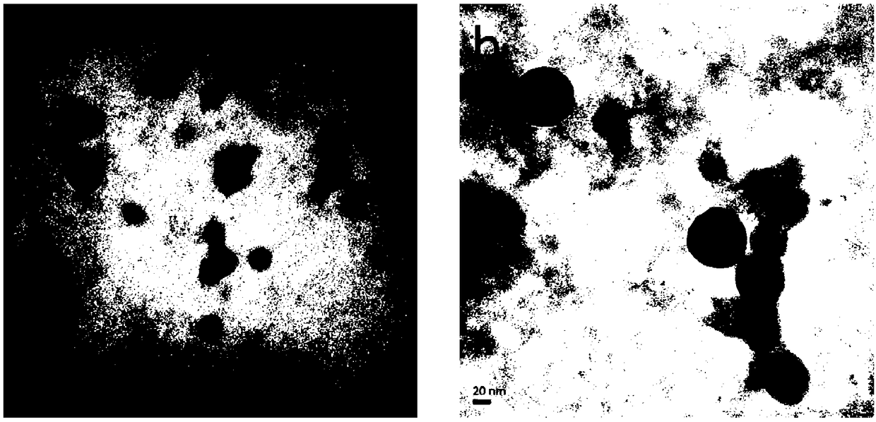 Erythrocyte membrane-coated co-supporting gambogic acid and indocyanine green albumin nanoparticle and preparation method and application thereof