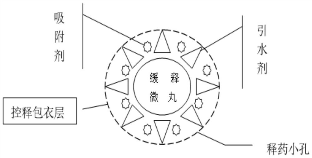 a cs  <sub>5</sub> Sife (oh  <sub>2</sub> )w  <sub>11</sub> o  <sub>39</sub> 6 hours  <sub>2</sub> o Preparation method and application of sustained and controlled release capsule