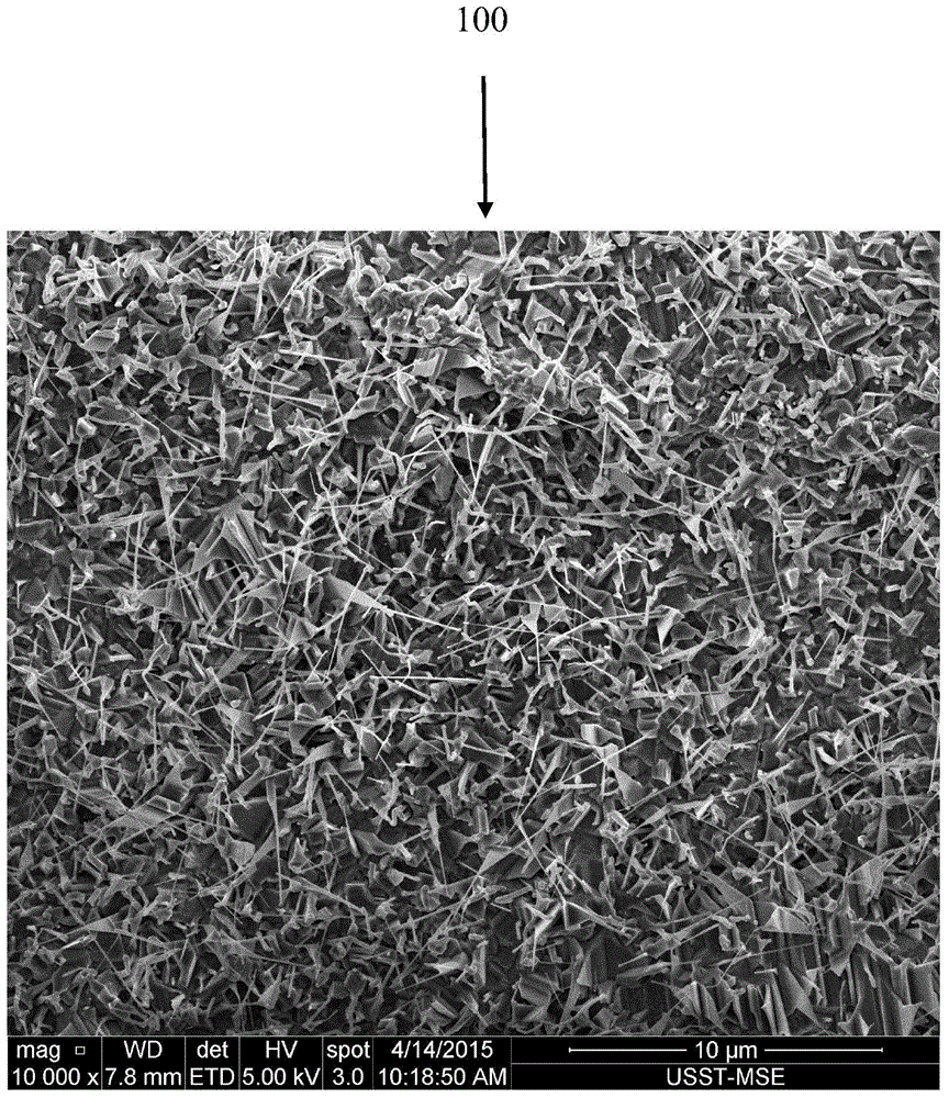 Titanium dioxide nanowire and preparation method thereof