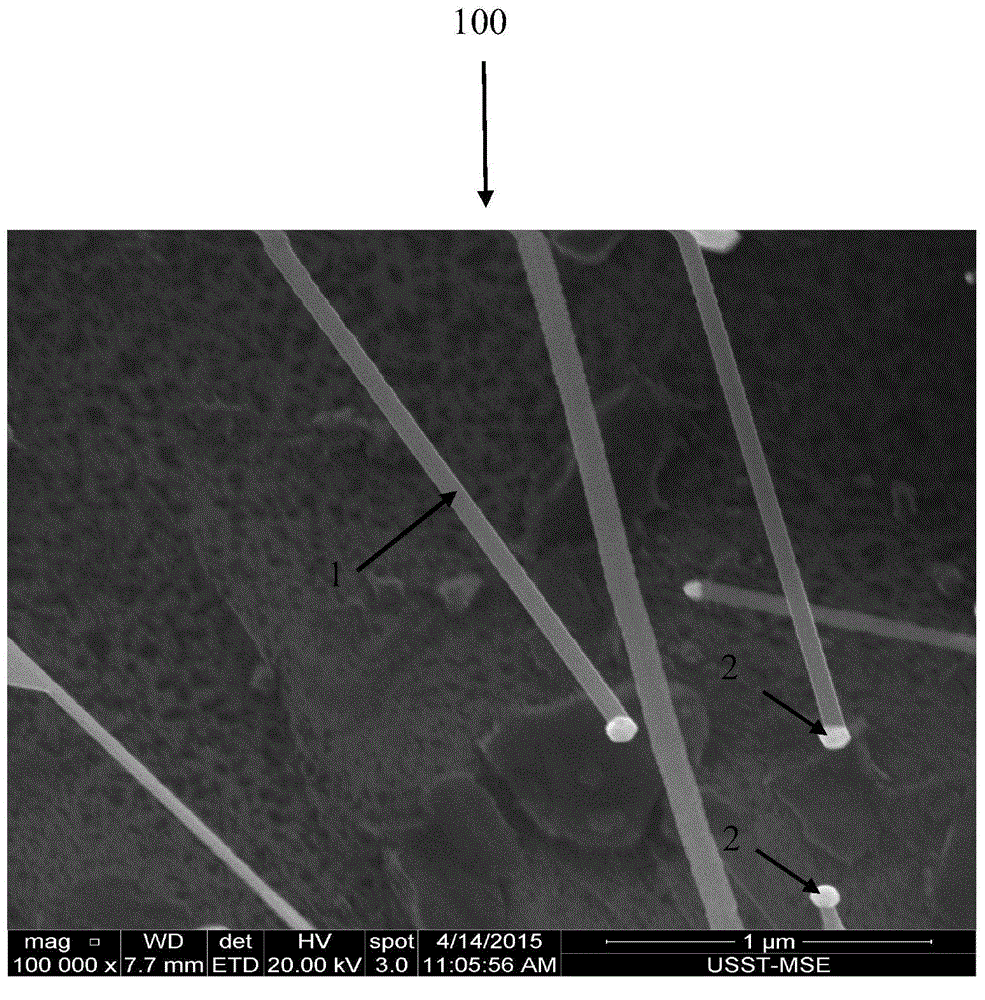 Titanium dioxide nanowire and preparation method thereof