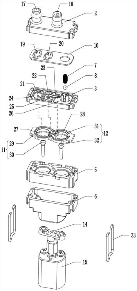 Tandem Diaphragm Pump with Check and Leakage Protection