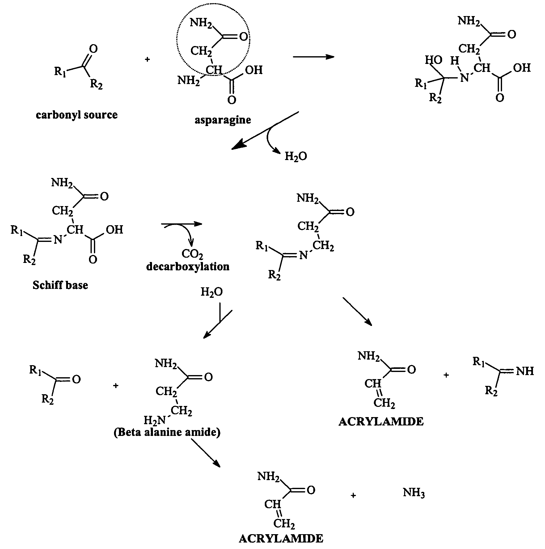 Method for reducing acrylamide in foods, foods having reduced levels of acrylamide and article of commerce