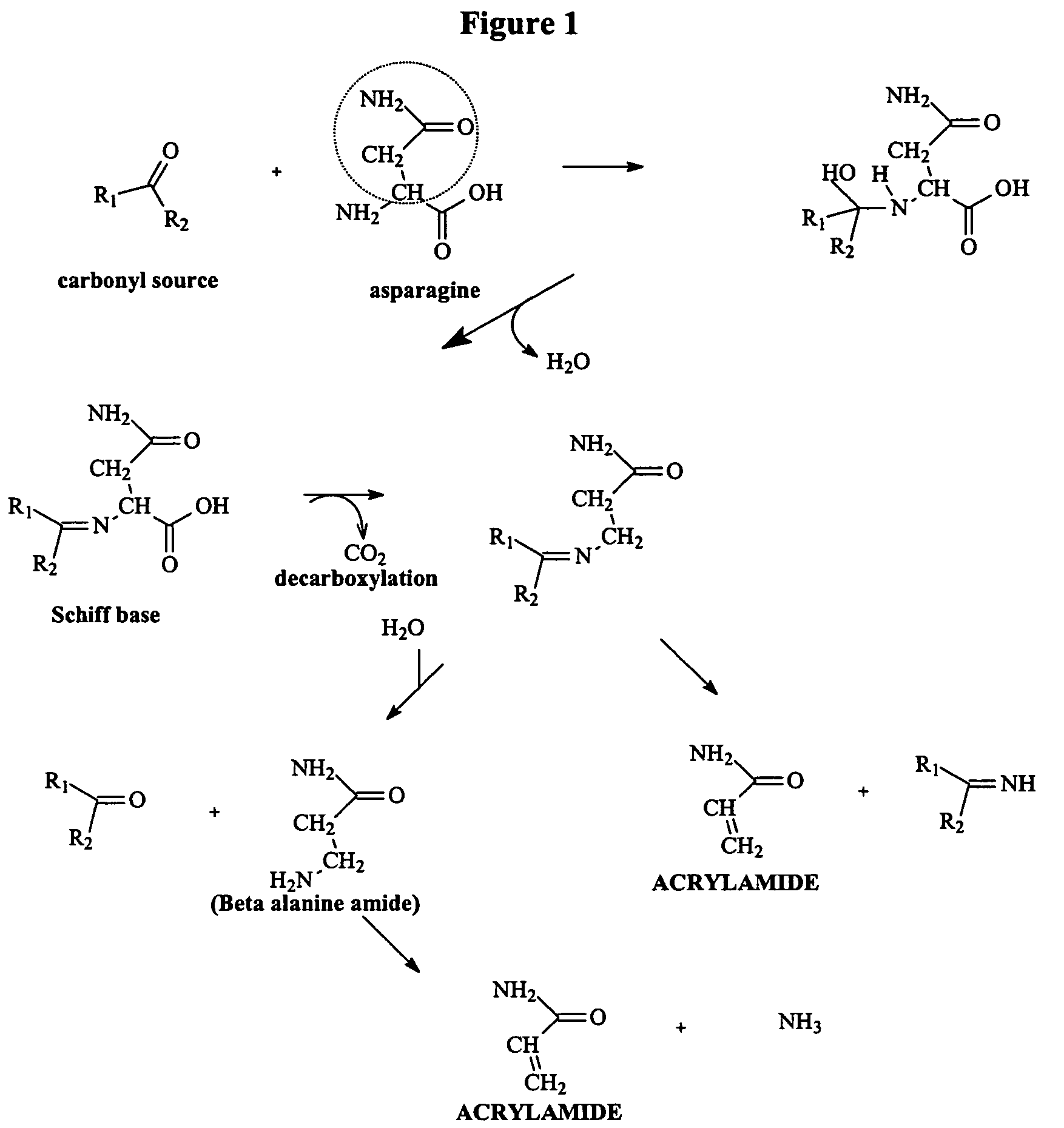 Method for reducing acrylamide in foods, foods having reduced levels of acrylamide and article of commerce